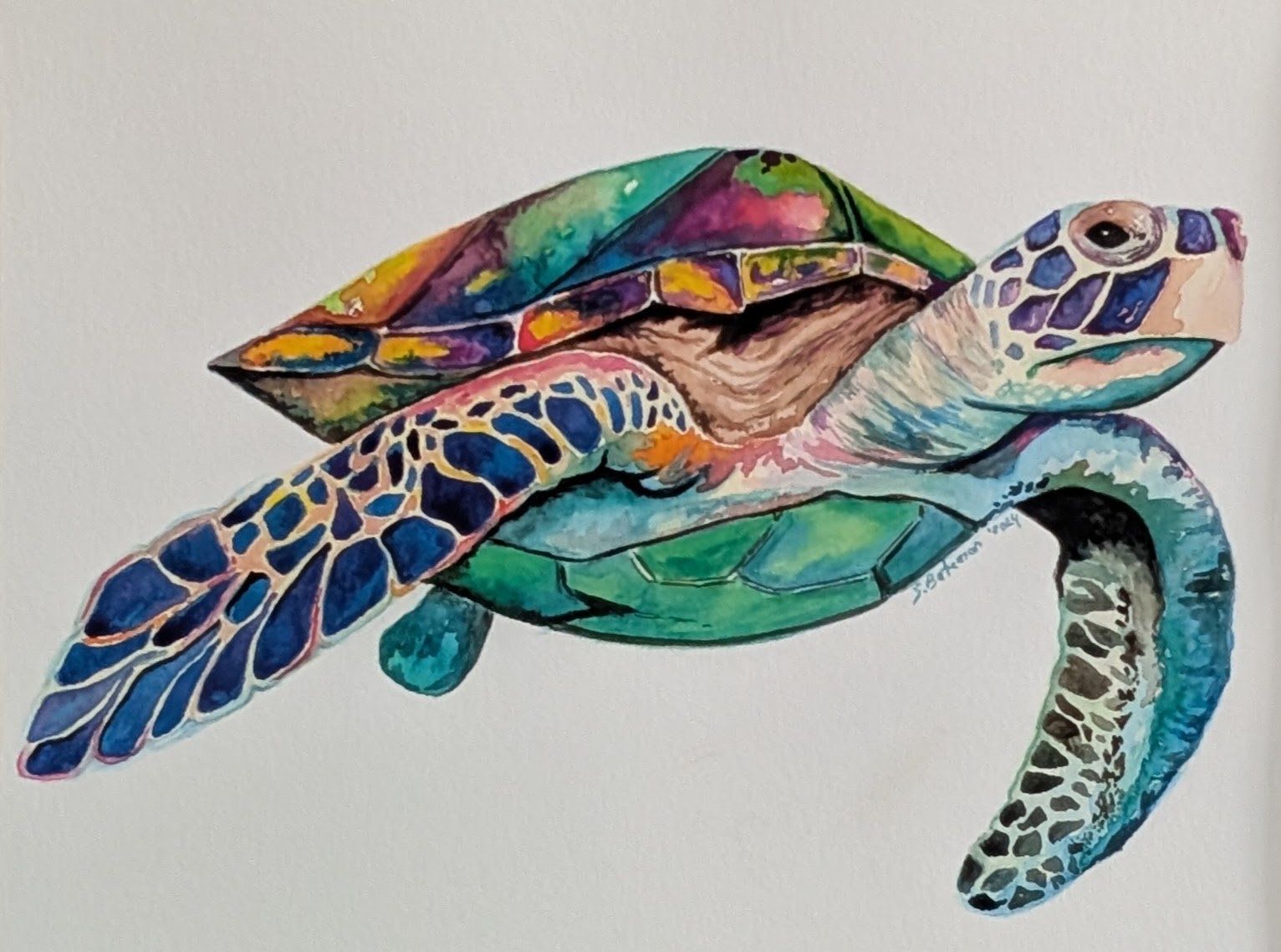 Show me your Colours